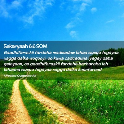 Picture 02 - Sekaryaah 6:6 SOM - Gaadhifaraskii fardaha madmadow lahaa wuxuu - Bible Verse Picture
