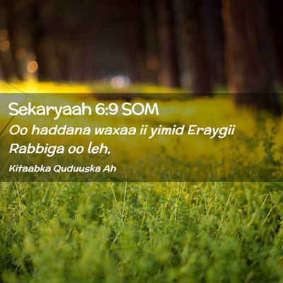 Picture 02 - Sekaryaah 6:9 SOM - Oo haddana waxaa ii yimid Eraygii Rabbiga oo - Bible Verse Picture