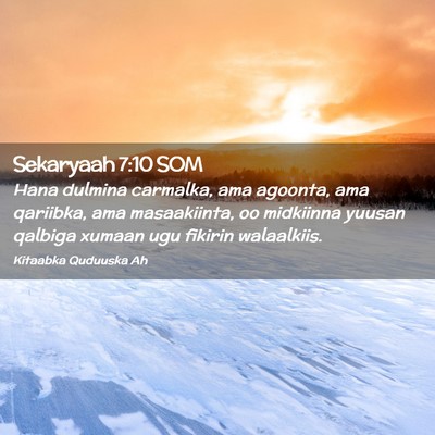 Picture 02 - Sekaryaah 7:10 SOM - Hana dulmina carmalka, ama agoonta, ama qariibka, - Bible Verse Picture