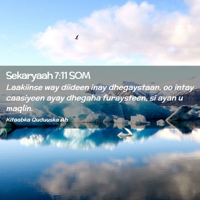 Picture 02 - Sekaryaah 7:11 SOM - Laakiinse way diideen inay dhegaystaan, oo intay - Bible Verse Picture