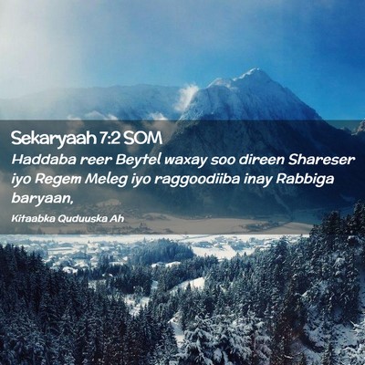 Picture 02 - Sekaryaah 7:2 SOM - Haddaba reer Beytel waxay soo direen Shareser iyo - Bible Verse Picture