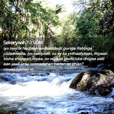 Picture 02 - Sekaryaah 7:3 SOM - iyo inay la hadlaan wadaaddadii guriga Rabbiga - Bible Verse Picture