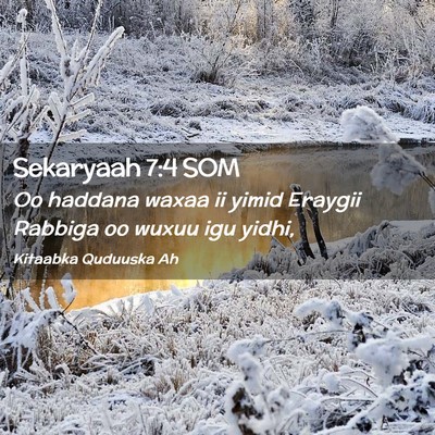 Picture 02 - Sekaryaah 7:4 SOM - Oo haddana waxaa ii yimid Eraygii Rabbiga oo - Bible Verse Picture
