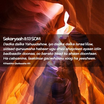 Picture 02 - Sekaryaah 8:13 SOM - Dadka dalka Yahuudahow, iyo dadka dalka - Bible Verse Picture
