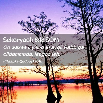 Picture 02 - Sekaryaah 8:18 SOM - Oo waxaa ii yimid Eraygii Rabbiga ciidammada, - Bible Verse Picture