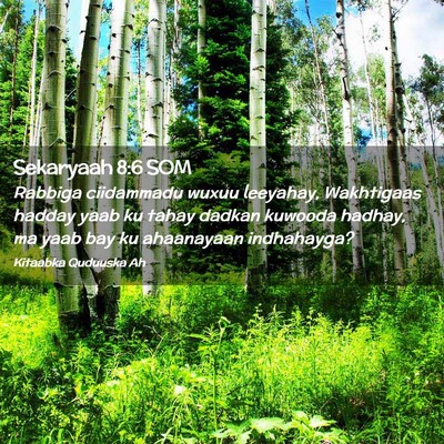 Picture 02 - Sekaryaah 8:6 SOM - Rabbiga ciidammadu wuxuu leeyahay, Wakhtigaas - Bible Verse Picture