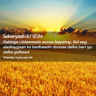 Picture 02 - Sekaryaah 8:7 SOM - Rabbiga ciidammadu wuxuu leeyahay, Bal eeg, - Bible Verse Picture