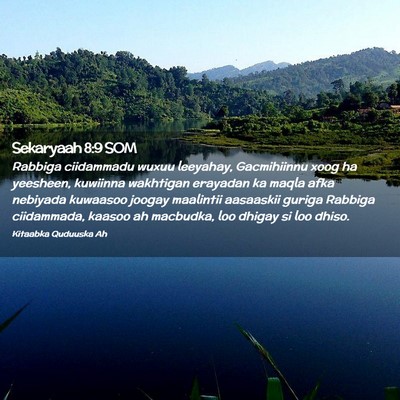 Picture 02 - Sekaryaah 8:9 SOM - Rabbiga ciidammadu wuxuu leeyahay, Gacmihiinnu - Bible Verse Picture