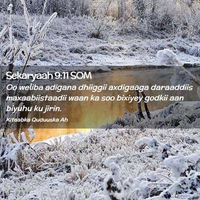 Picture 02 - Sekaryaah 9:11 SOM - Oo weliba adigana dhiiggii axdigaaga daraaddiis - Bible Verse Picture