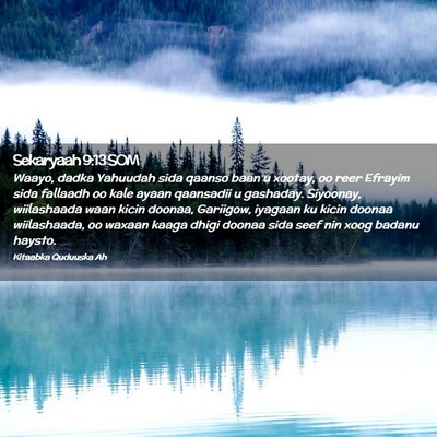Picture 02 - Sekaryaah 9:13 SOM - Waayo, dadka Yahuudah sida qaanso baan u xootay, - Bible Verse Picture