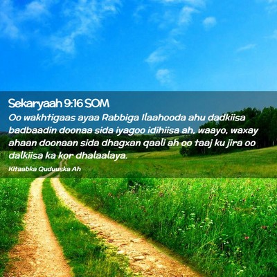 Picture 02 - Sekaryaah 9:16 SOM - Oo wakhtigaas ayaa Rabbiga Ilaahooda ahu dadkiisa - Bible Verse Picture