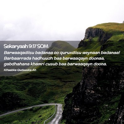 Picture 02 - Sekaryaah 9:17 SOM - Barwaaqadiisu badanaa oo quruxdiisu weynaan - Bible Verse Picture