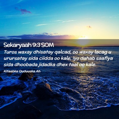 Picture 02 - Sekaryaah 9:3 SOM - Turos waxay dhisatay qalcad, oo waxay lacag u - Bible Verse Picture