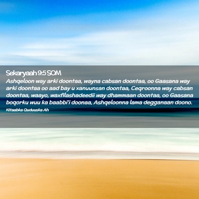 Picture 02 - Sekaryaah 9:5 SOM - Ashqeloon way arki doontaa, wayna cabsan doontaa, - Bible Verse Picture