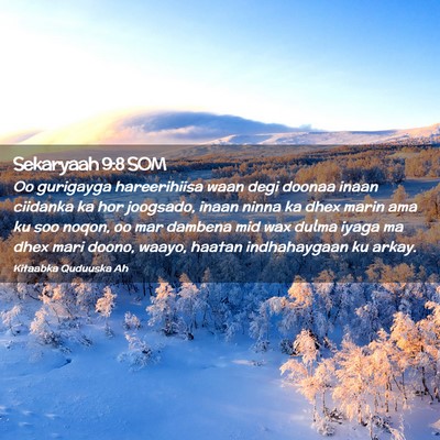 Picture 02 - Sekaryaah 9:8 SOM - Oo gurigayga hareerihiisa waan degi doonaa inaan - Bible Verse Picture