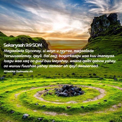 Picture 02 - Sekaryaah 9:9 SOM - Magaalada Siyoonay, si weyn u reyree, magaalada - Bible Verse Picture