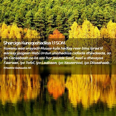 Picture 02 - Sharciga Kunoqoshadiisa 1:1 SOM - Kuwanu waa erayadii Muuse kula hadlay reer binu - Bible Verse Picture