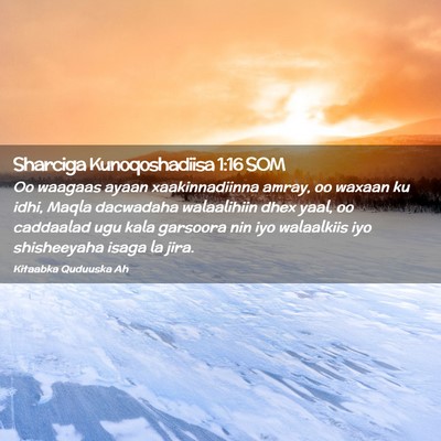 Picture 02 - Sharciga Kunoqoshadiisa 1:16 SOM - Oo waagaas ayaan xaakinnadiinna amray, oo waxaan - Bible Verse Picture