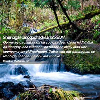 Picture 02 - Sharciga Kunoqoshadiisa 1:25 SOM - Oo waxay gacmahooda ku soo qaadeen dalka - Bible Verse Picture