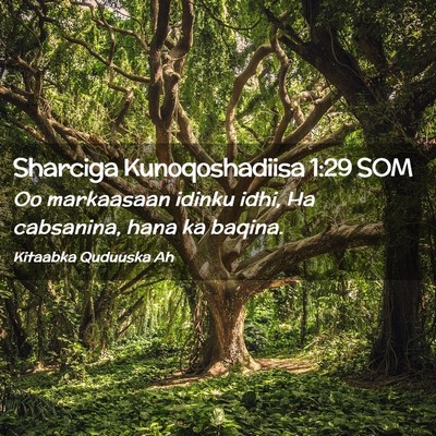 Picture 02 - Sharciga Kunoqoshadiisa 1:29 SOM - Oo markaasaan idinku idhi, Ha cabsanina, hana ka - Bible Verse Picture