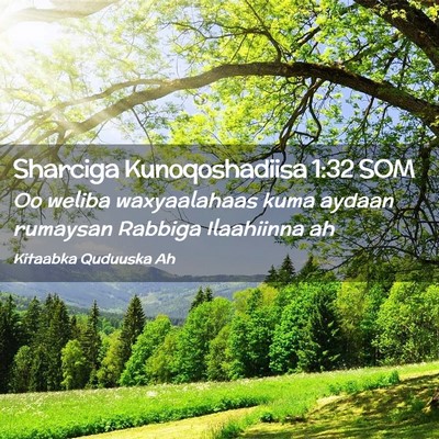 Picture 02 - Sharciga Kunoqoshadiisa 1:32 SOM - Oo weliba waxyaalahaas kuma aydaan rumaysan - Bible Verse Picture