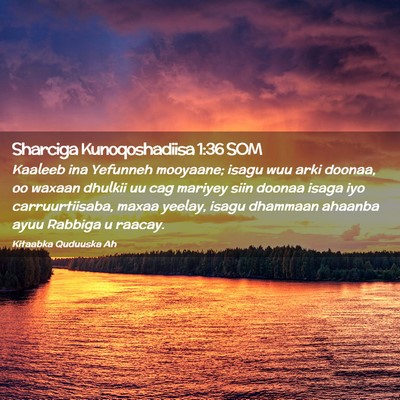 Picture 02 - Sharciga Kunoqoshadiisa 1:36 SOM - Kaaleeb ina Yefunneh mooyaane; isagu wuu arki - Bible Verse Picture