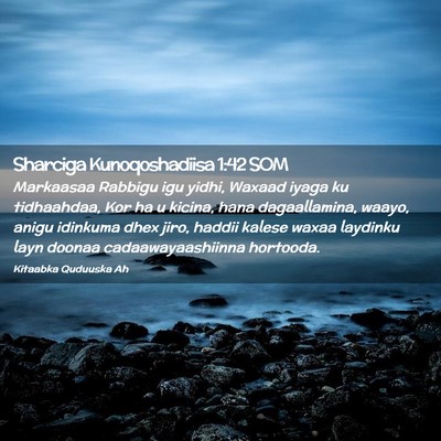 Picture 02 - Sharciga Kunoqoshadiisa 1:42 SOM - Markaasaa Rabbigu igu yidhi, Waxaad iyaga ku - Bible Verse Picture
