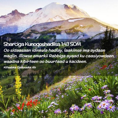 Picture 02 - Sharciga Kunoqoshadiisa 1:43 SOM - Oo sidaasaan idinkula hadlay, laakiinse ima - Bible Verse Picture