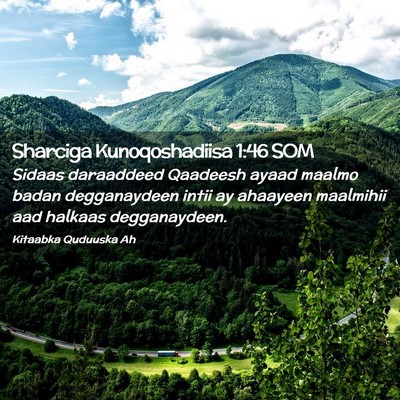 Picture 02 - Sharciga Kunoqoshadiisa 1:46 SOM - Sidaas daraaddeed Qaadeesh ayaad maalmo badan - Bible Verse Picture