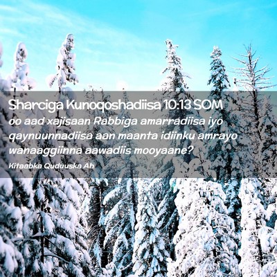 Picture 02 - Sharciga Kunoqoshadiisa 10:13 SOM - oo aad xajisaan Rabbiga amarradiisa iyo - Bible Verse Picture