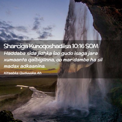 Picture 02 - Sharciga Kunoqoshadiisa 10:16 SOM - Haddaba sida jidhka loo gudo isaga jara xumaanta - Bible Verse Picture