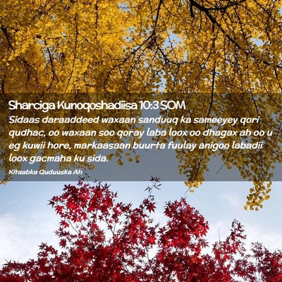Picture 02 - Sharciga Kunoqoshadiisa 10:3 SOM - Sidaas daraaddeed waxaan sanduuq ka sameeyey qori - Bible Verse Picture