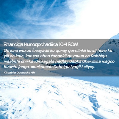 Picture 02 - Sharciga Kunoqoshadiisa 10:4 SOM - Oo isna wuxuu looxyadii ku qoray qorniinkii kuwii - Bible Verse Picture