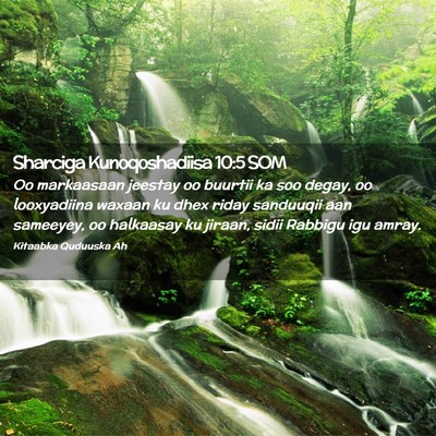 Picture 02 - Sharciga Kunoqoshadiisa 10:5 SOM - Oo markaasaan jeestay oo buurtii ka soo degay, oo - Bible Verse Picture