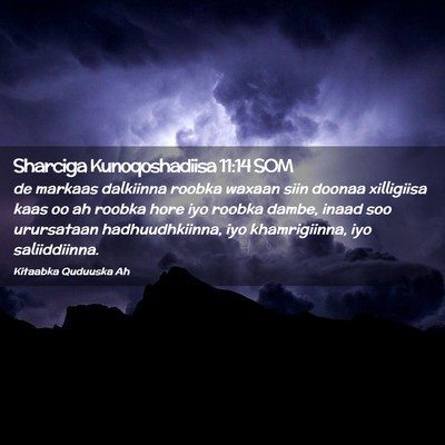 Picture 02 - Sharciga Kunoqoshadiisa 11:14 SOM - de markaas dalkiinna roobka waxaan siin doonaa - Bible Verse Picture