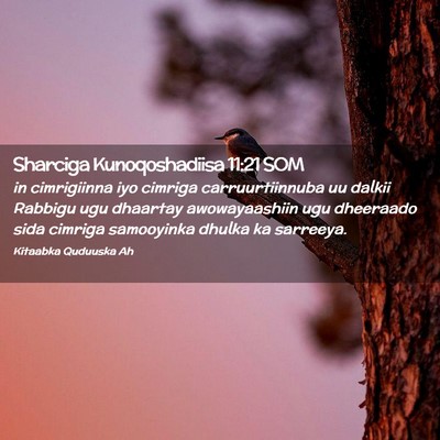 Picture 02 - Sharciga Kunoqoshadiisa 11:21 SOM - in cimrigiinna iyo cimriga carruurtiinnuba uu - Bible Verse Picture