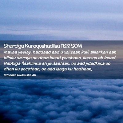 Picture 02 - Sharciga Kunoqoshadiisa 11:22 SOM - Maxaa yeelay, haddaad aad u xajisaan kulli - Bible Verse Picture