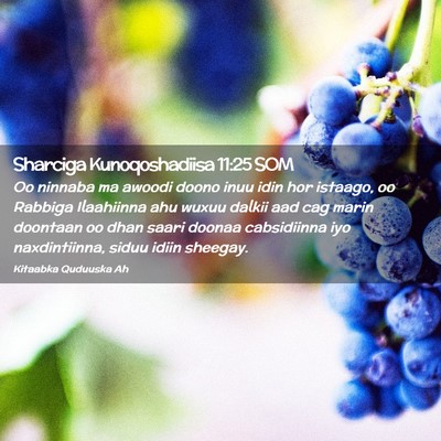 Picture 02 - Sharciga Kunoqoshadiisa 11:25 SOM - Oo ninnaba ma awoodi doono inuu idin hor istaago, - Bible Verse Picture