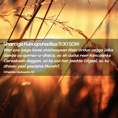 Picture 02 - Sharciga Kunoqoshadiisa 11:30 SOM - War sow iyagu kama shisheeyaan Webi Urdun xagga - Bible Verse Picture