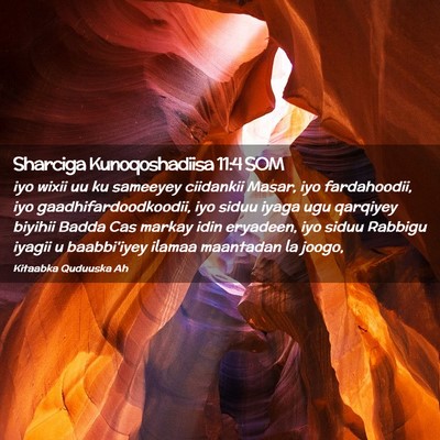 Picture 02 - Sharciga Kunoqoshadiisa 11:4 SOM - iyo wixii uu ku sameeyey ciidankii Masar, iyo - Bible Verse Picture