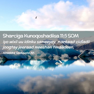 Picture 02 - Sharciga Kunoqoshadiisa 11:5 SOM - iyo wixii uu idinku sameeyey, markaad cidladii - Bible Verse Picture