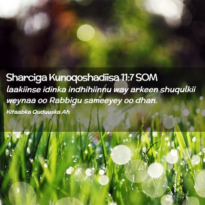 Picture 02 - Sharciga Kunoqoshadiisa 11:7 SOM - laakiinse idinka indhihiinnu way arkeen shuqulkii - Bible Verse Picture