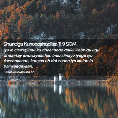 Picture 02 - Sharciga Kunoqoshadiisa 11:9 SOM - iyo in cimrigiinnu ku dheeraado dalkii Rabbigu - Bible Verse Picture