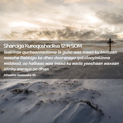 Picture 02 - Sharciga Kunoqoshadiisa 12:14 SOM - laakiinse qurbaannadiinna la gubo waa inaad ku - Bible Verse Picture