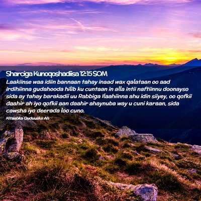 Picture 02 - Sharciga Kunoqoshadiisa 12:15 SOM - Laakiinse waa idiin bannaan tahay inaad wax - Bible Verse Picture