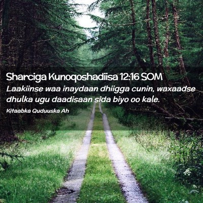 Picture 02 - Sharciga Kunoqoshadiisa 12:16 SOM - Laakiinse waa inaydaan dhiigga cunin, waxaadse - Bible Verse Picture