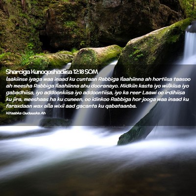 Picture 02 - Sharciga Kunoqoshadiisa 12:18 SOM - laakiinse iyaga waa inaad ku cuntaan Rabbiga - Bible Verse Picture