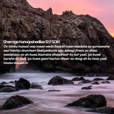 Picture 02 - Sharciga Kunoqoshadiisa 12:2 SOM - Oo idinku hubaal waa inaad wada baabbi'isaan - Bible Verse Picture