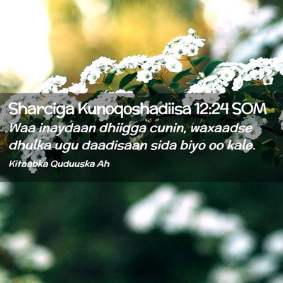 Picture 02 - Sharciga Kunoqoshadiisa 12:24 SOM - Waa inaydaan dhiigga cunin, waxaadse dhulka ugu - Bible Verse Picture