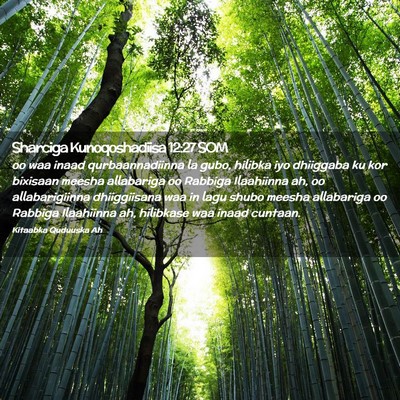 Picture 02 - Sharciga Kunoqoshadiisa 12:27 SOM - oo waa inaad qurbaannadiinna la gubo, hilibka iyo - Bible Verse Picture
